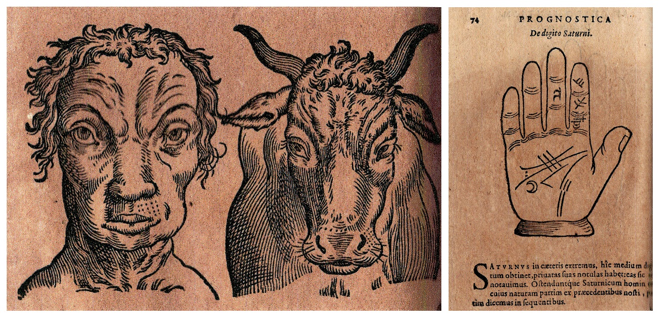 Illustrationen
